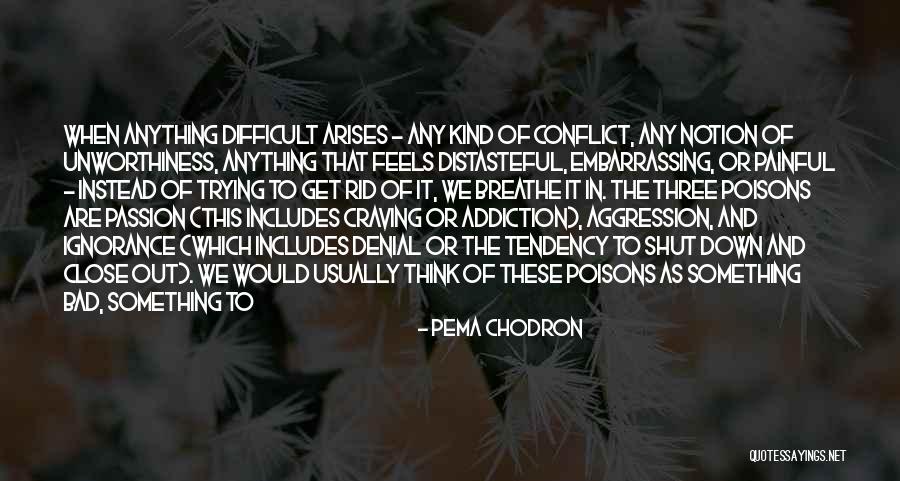 Faigle Jewelry Quotes By Pema Chodron Faigle Jewelry Quotes By Pema Chodron