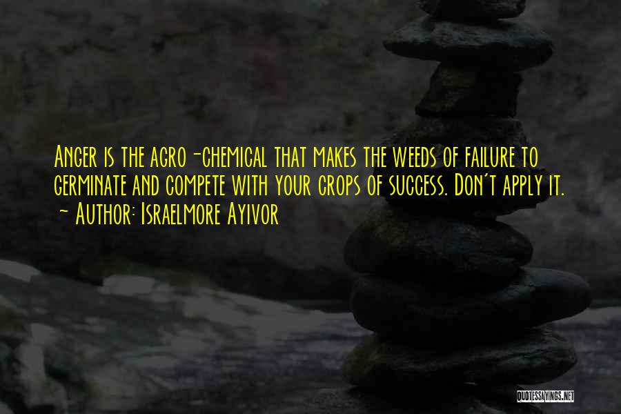 Fail And Success Quotes By Israelmore Ayivor