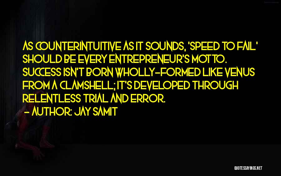 Fail And Success Quotes By Jay Samit