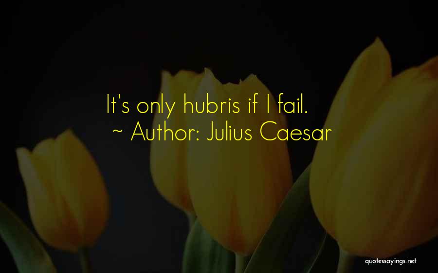 Fail Quotes By Julius Caesar
