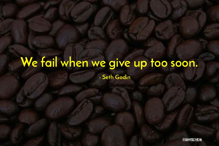 Fail Quotes By Seth Godin