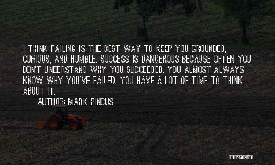 Failed And Success Quotes By Mark Pincus