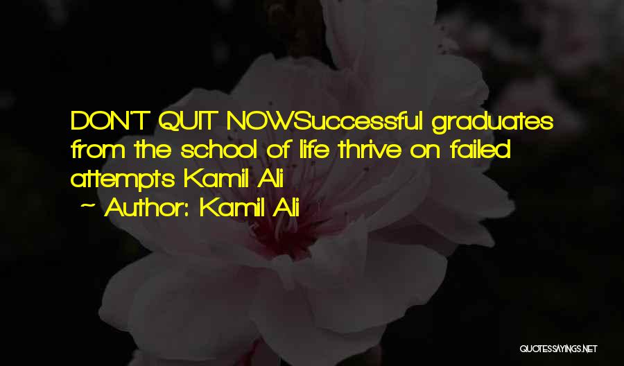 Failed Attempts Quotes By Kamil Ali