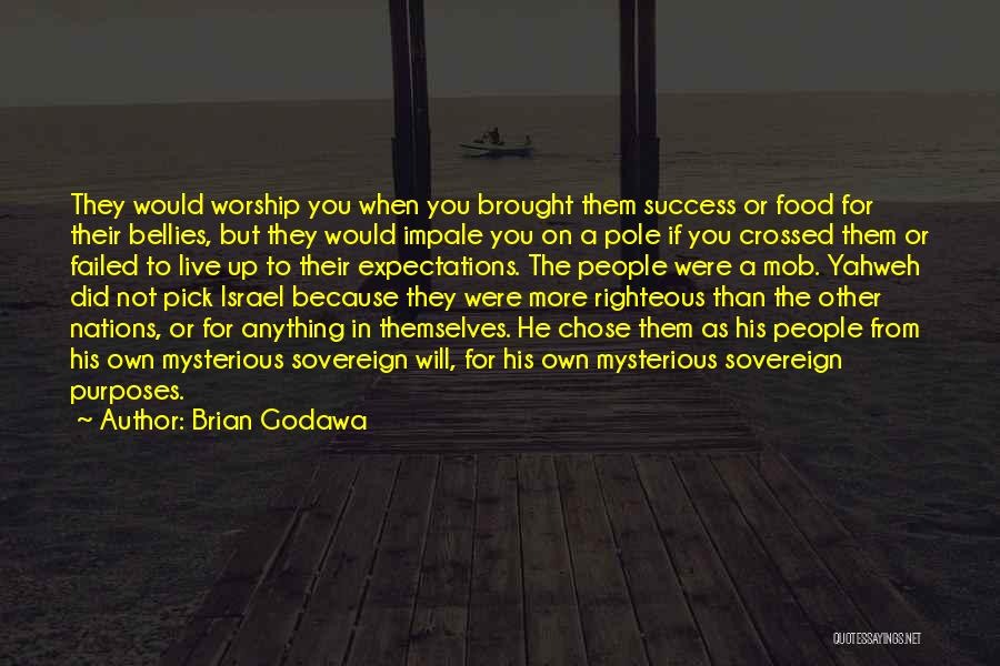 Failed Expectations Quotes By Brian Godawa