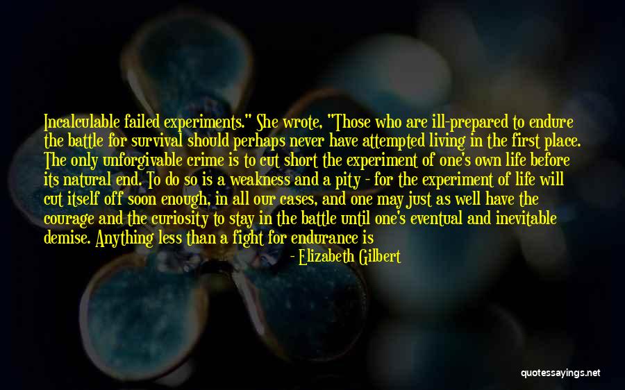 Failed Experiments Quotes By Elizabeth Gilbert