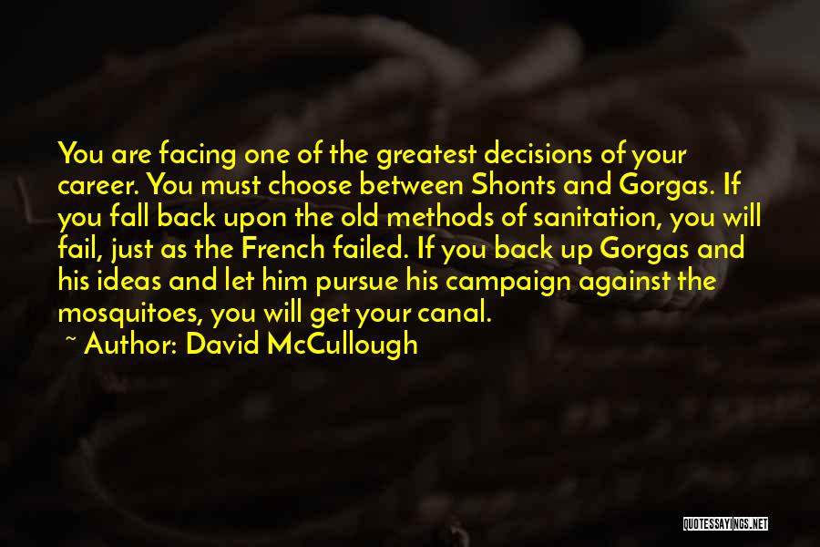 Failed Ideas Quotes By David McCullough