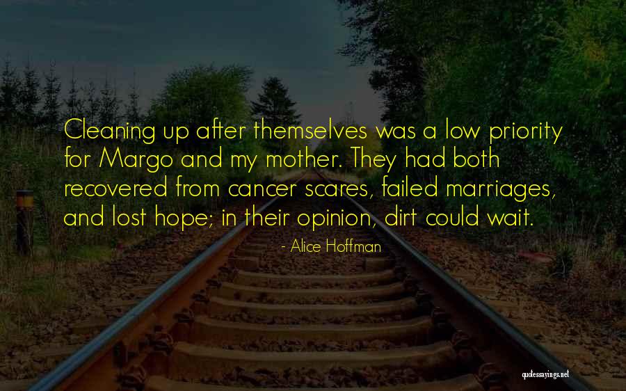Failed Marriages Quotes By Alice Hoffman Failed Marriages Quotes By Alice Hoffman