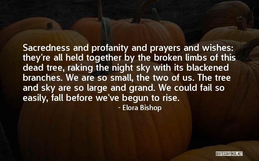 Failing And Falling Quotes By Elora Bishop Failing And Falling Quotes By Elora Bishop