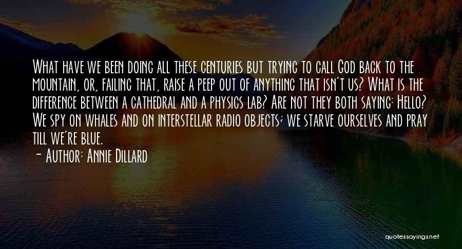 Failing God Quotes By Annie Dillard