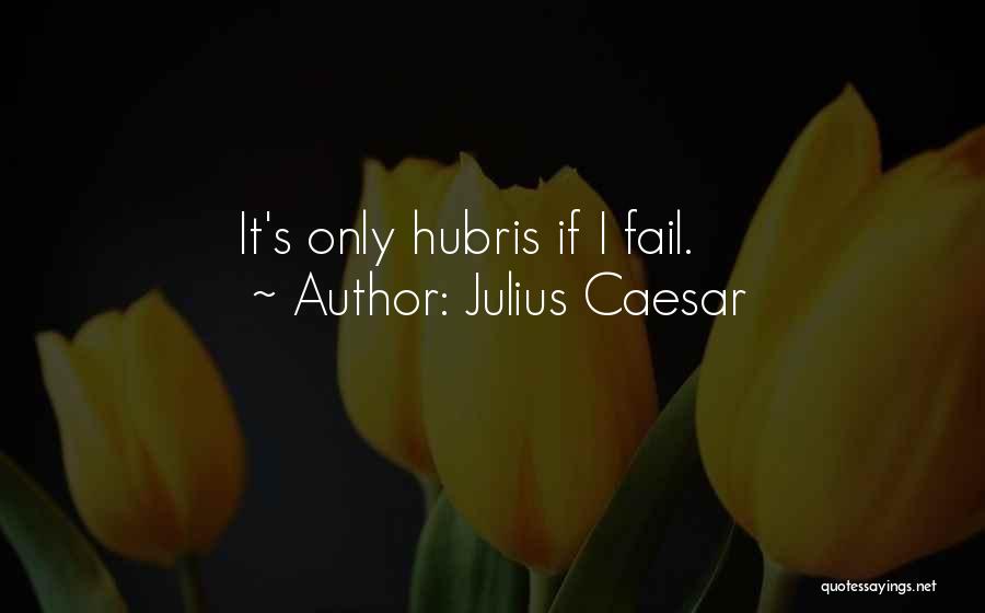 Failing Quotes By Julius Caesar