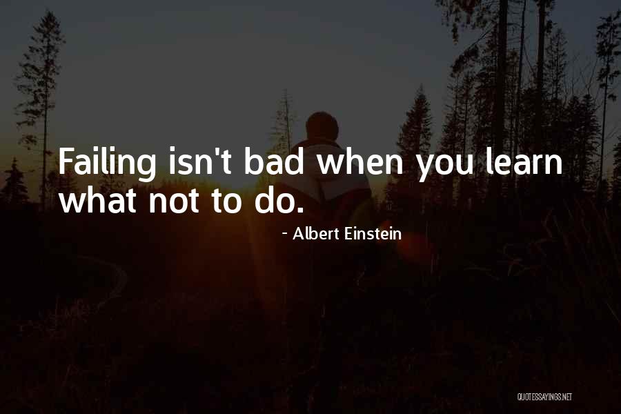 Failing To Learn Quotes By Albert Einstein