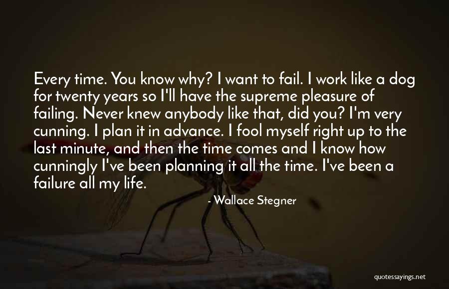 Failing To Plan Quotes By Wallace Stegner Failing To Plan Quotes By Wallace Stegner