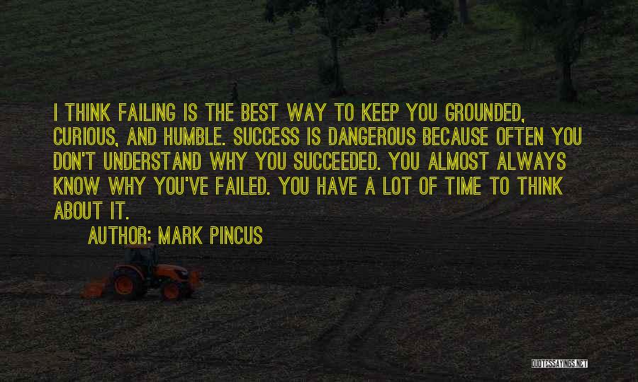 Failing To Success Quotes By Mark Pincus