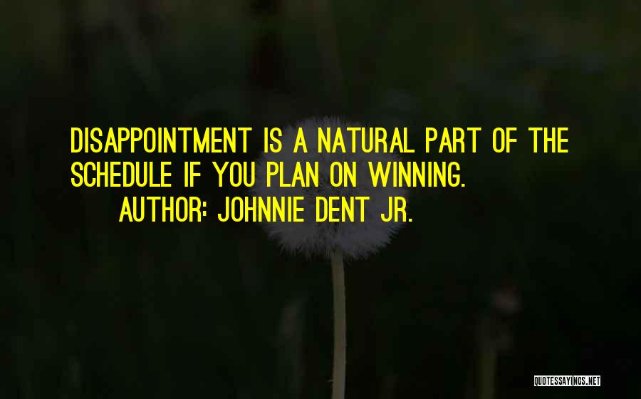Failure And Disappointment Quotes By Johnnie Dent Jr.