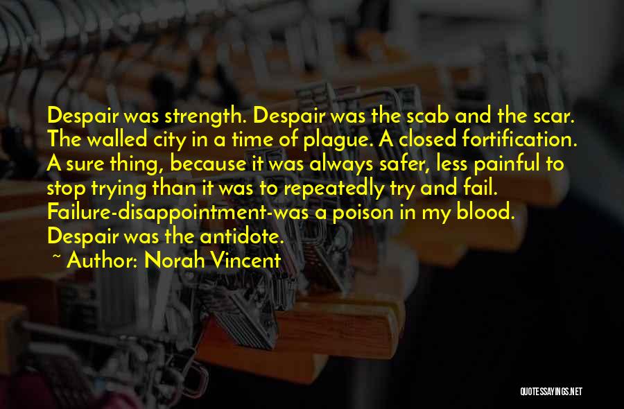 Failure And Disappointment Quotes By Norah Vincent