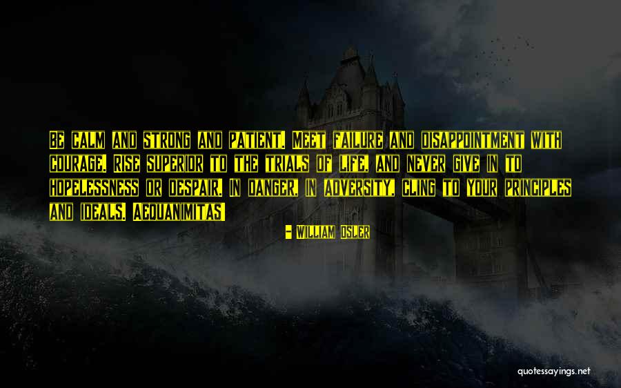 Failure And Disappointment Quotes By William Osler Failure And Disappointment Quotes By William Osler
