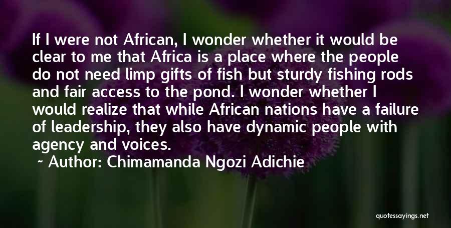 Failure And Leadership Quotes By Chimamanda Ngozi Adichie