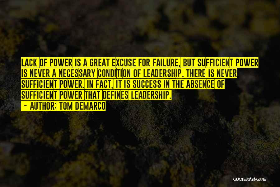 Failure And Leadership Quotes By Tom DeMarco