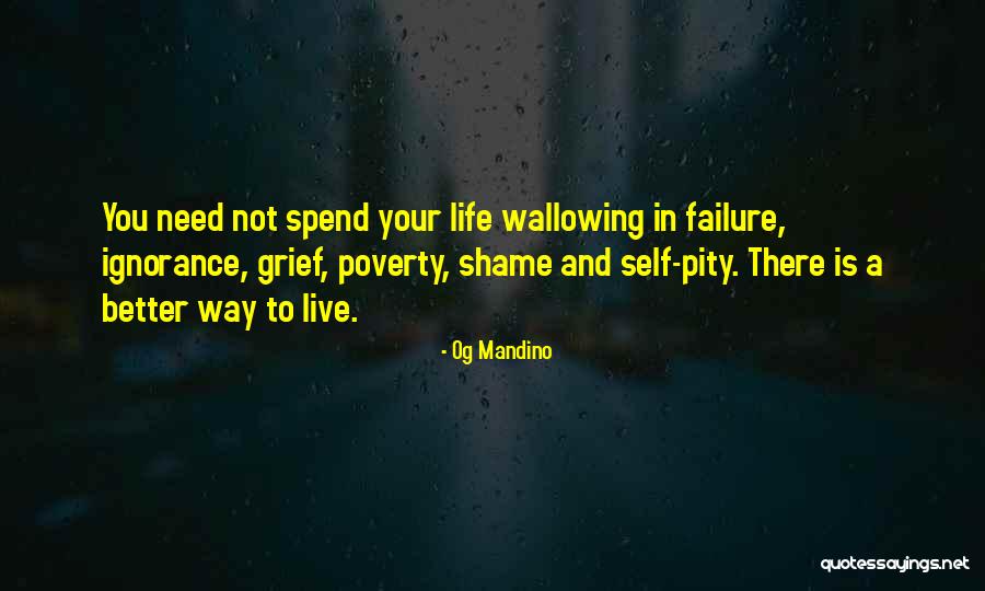 Failure In Life Quotes By Og Mandino