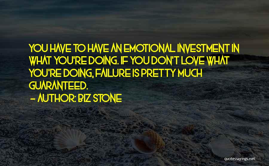 Failure In Love Quotes By Biz Stone