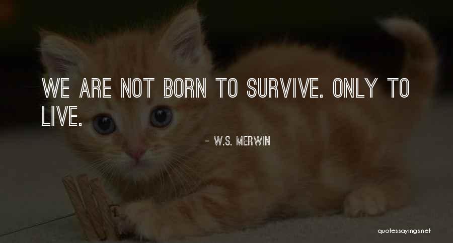 Failure In Math Quotes By W.S. Merwin