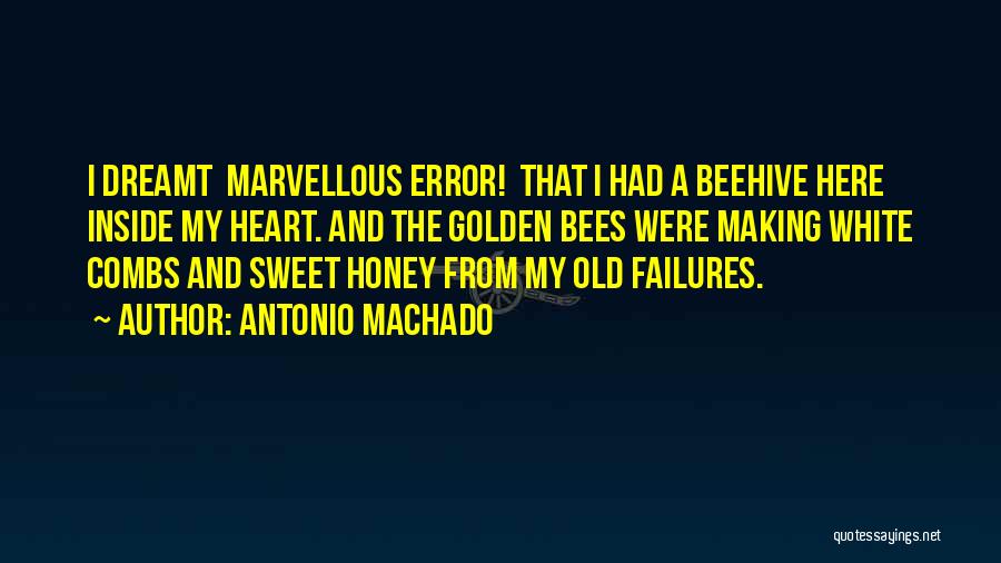Failures And Success Quotes By Antonio Machado