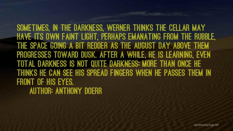 Faint Quotes By Anthony Doerr