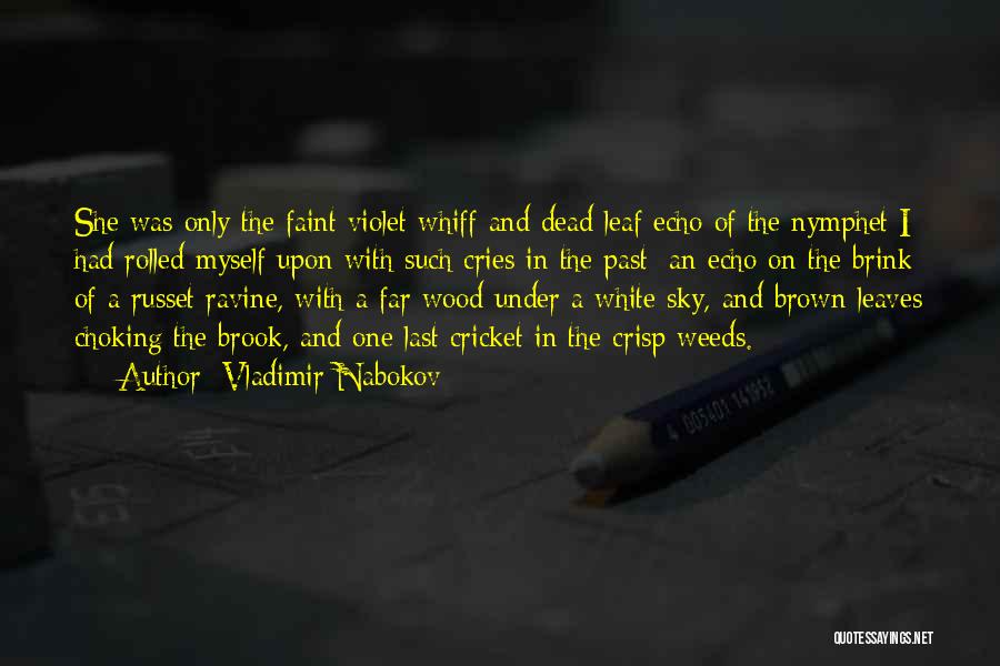 Faint Quotes By Vladimir Nabokov