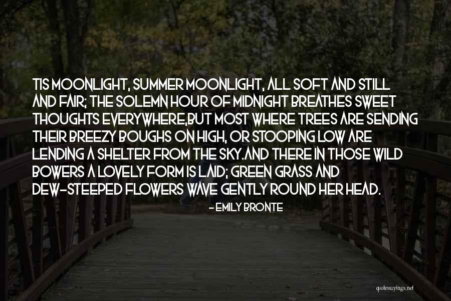 Fair N Lovely Quotes By Emily Bronte Fair N Lovely Quotes By Emily Bronte