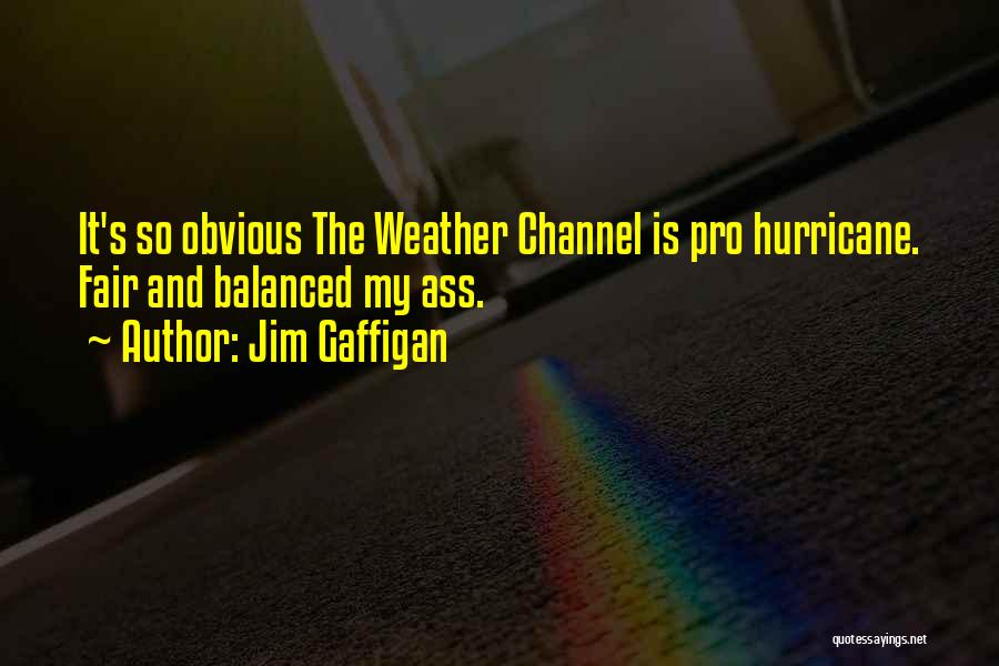 Fair Weather Quotes By Jim Gaffigan