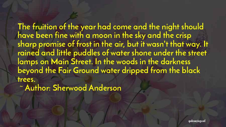 Fair Weather Quotes By Sherwood Anderson