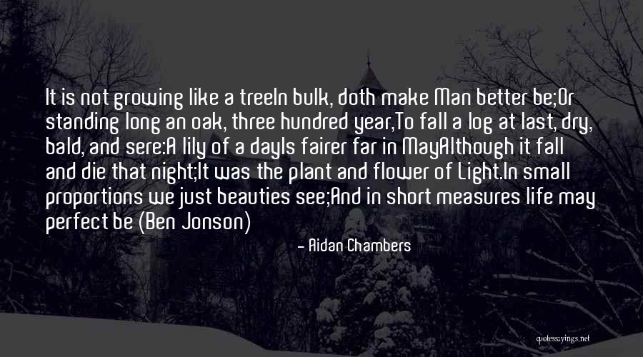 Fairer Quotes By Aidan Chambers Fairer Quotes By Aidan Chambers