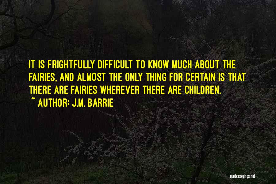 Fairies And Magic Quotes By J.M. Barrie