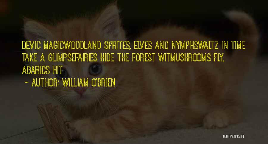 Fairies And Magic Quotes By William O'Brien