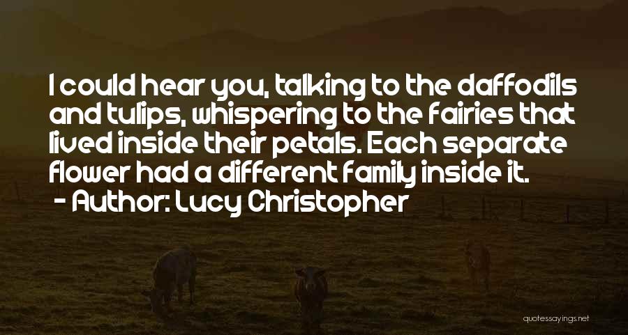 Fairies Quotes By Lucy Christopher