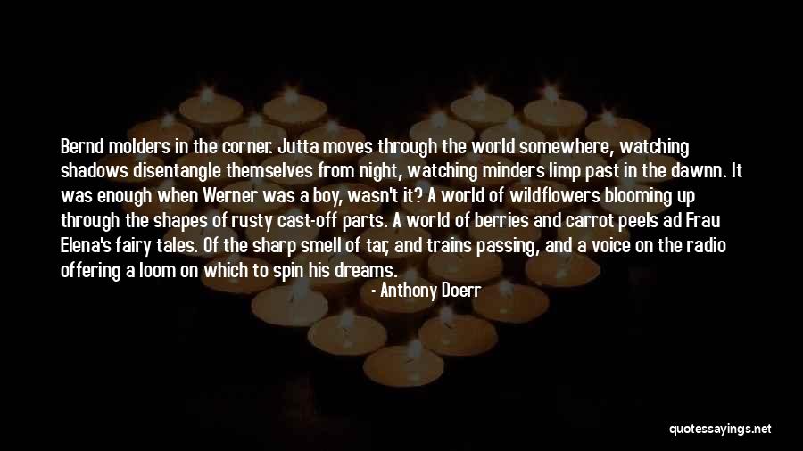 Fairy Tales And Dreams Quotes By Anthony Doerr Fairy Tales And Dreams Quotes By Anthony Doerr