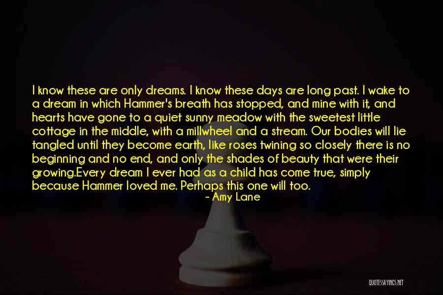 Fairy Tales End Quotes By Amy Lane Fairy Tales End Quotes By Amy Lane