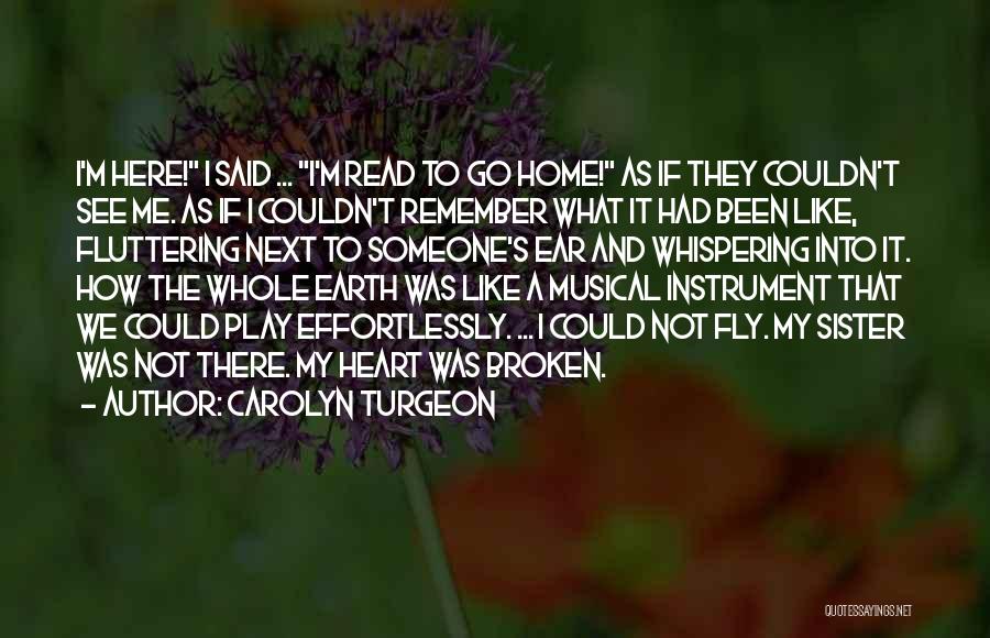 Fairy Wings Quotes By Carolyn Turgeon