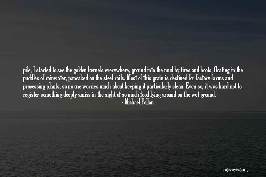 Fairytails Grasses Quotes By Michael Pollan Fairytails Grasses Quotes By Michael Pollan