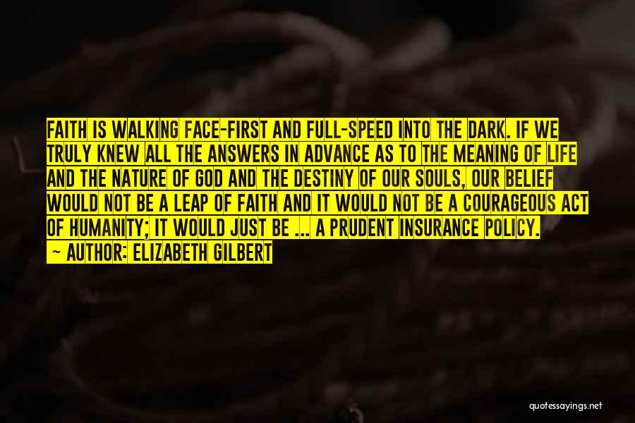 Faith And Destiny Quotes By Elizabeth Gilbert