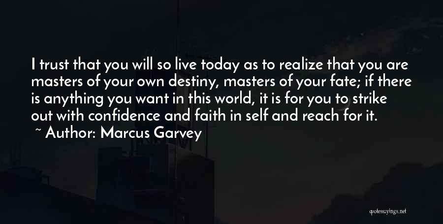 Faith And Destiny Quotes By Marcus Garvey
