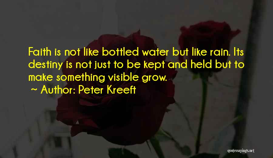 Faith And Destiny Quotes By Peter Kreeft