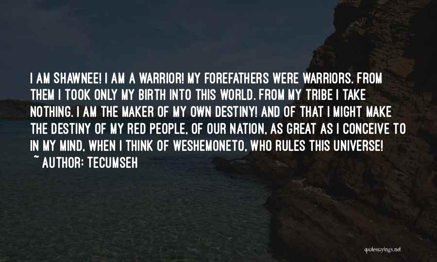 Faith And Destiny Quotes By Tecumseh