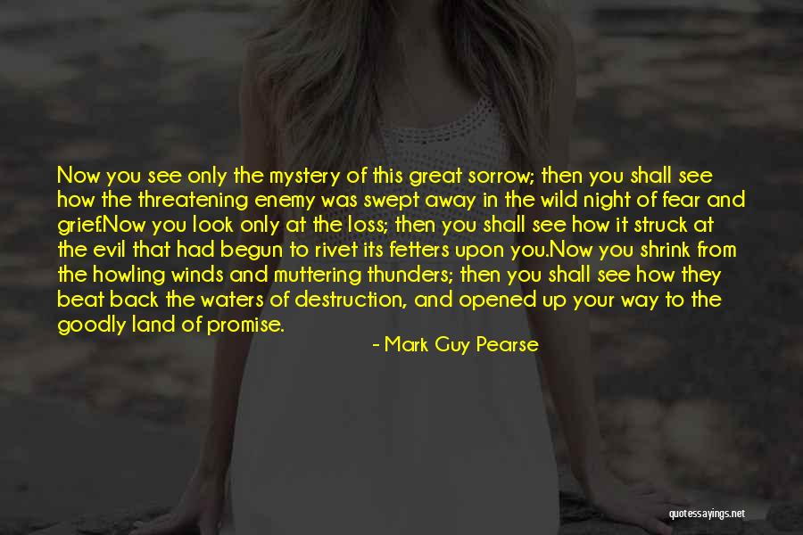 Faith And Loss Quotes By Mark Guy Pearse