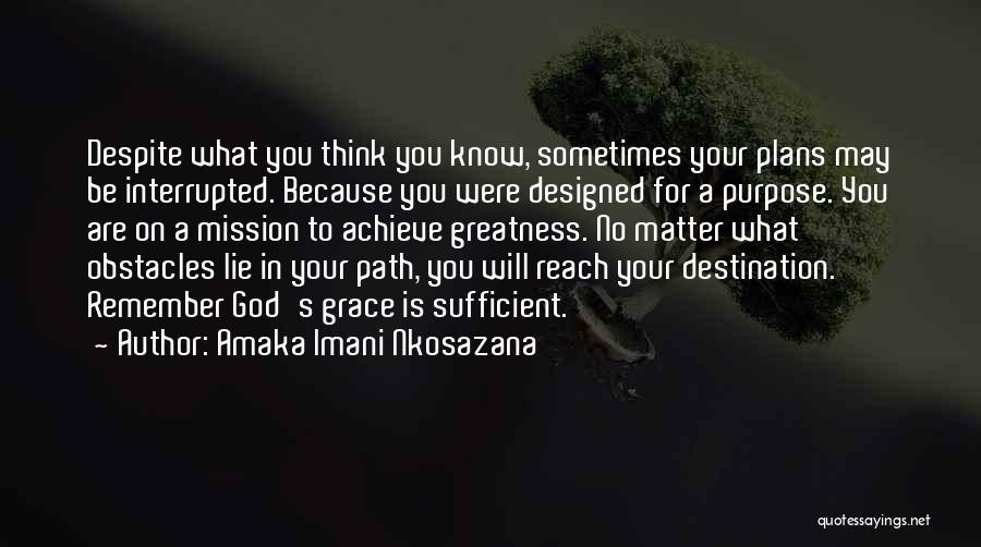 Faith In God's Plan Quotes By Amaka Imani Nkosazana