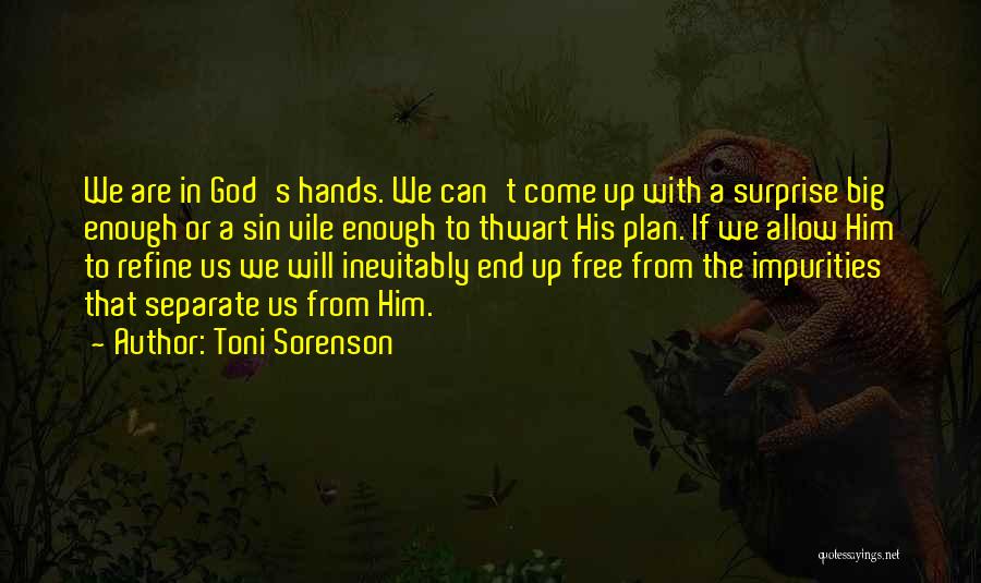 Faith In God's Plan Quotes By Toni Sorenson