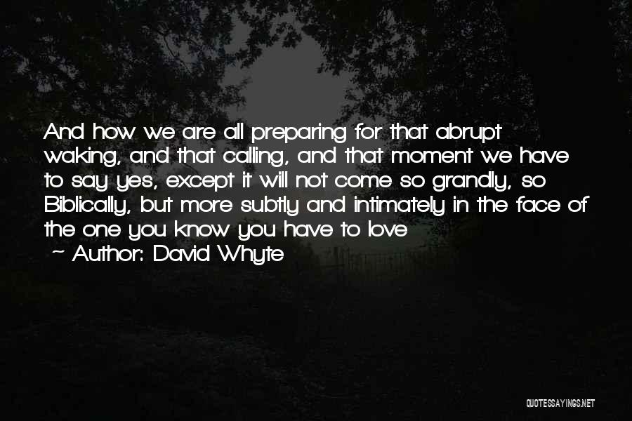 Faith In The One You Love Quotes By David Whyte