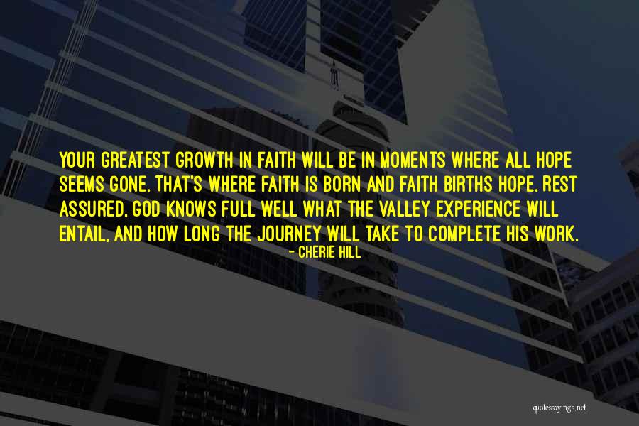 Faith In The Valley Quotes By Cherie Hill