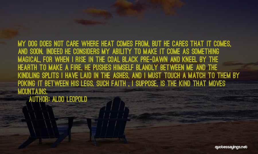 Faith Moves Mountains Quotes By Aldo Leopold
