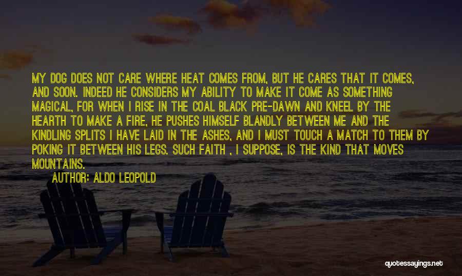 Faith Moving Mountains Quotes By Aldo Leopold